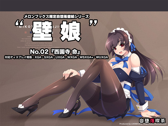 パッケージ画像