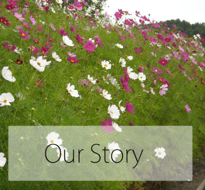 Our Storyの画像