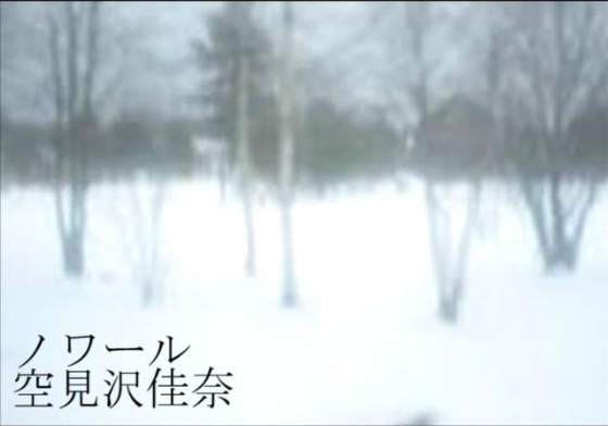 ノワール PVの画像