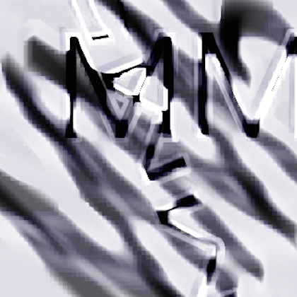 MM5の画像