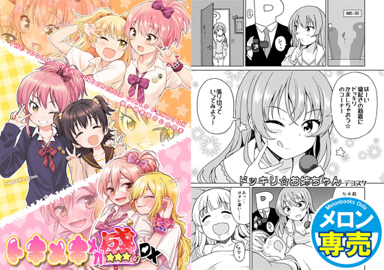 トキメキメガ盛りDXの画像