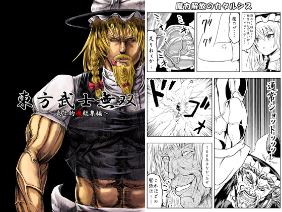 東方武士無双の画像