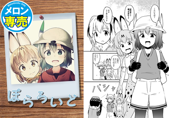 ぽらろいどの画像