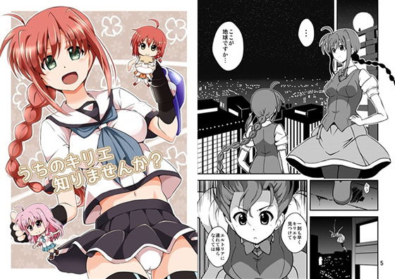 うちのキリエ知りませんか?の画像