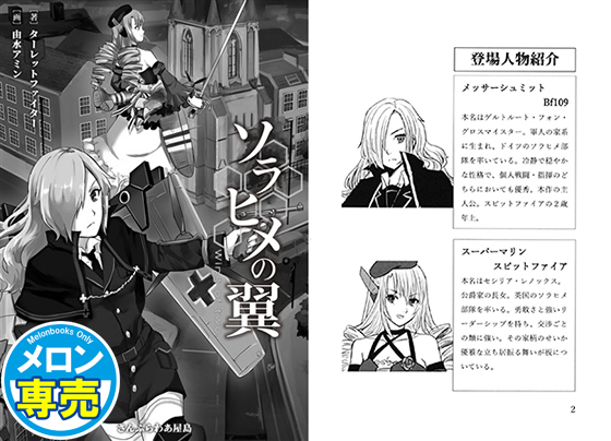 ソラヒメの翼の画像
