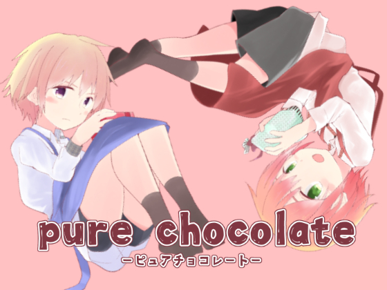 ピュアチョコレートの画像