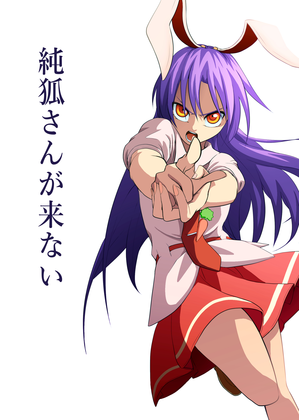 純狐さんが来ないの画像
