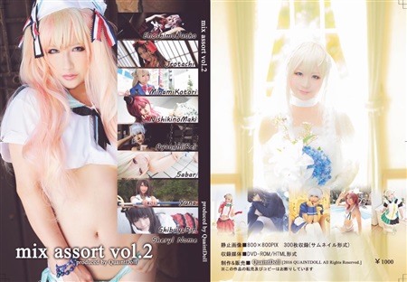 mix assort vol.2の画像